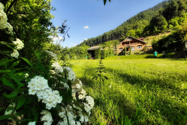popular-tours-img